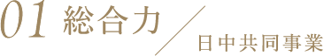 01 総合力 / 日中共同事業